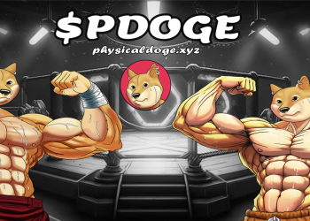 实物 Doge (PDOGE) 开启多轮预售,面向早期支持者